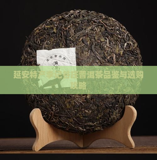 延安特产李记谷庄普洱茶品鉴与选购攻略