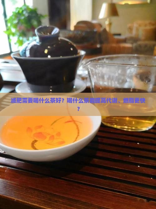 减肥需要喝什么茶好？喝什么茶能提高代谢、燃脂更快？