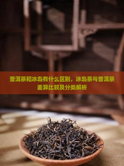 普洱茶和冰岛有什么区别，冰岛茶与普洱茶差异比较及分类解析