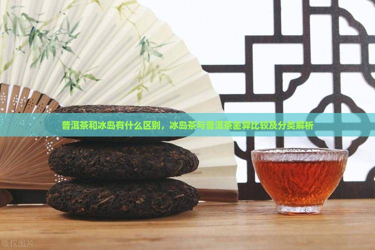 普洱茶和冰岛有什么区别，冰岛茶与普洱茶差异比较及分类解析