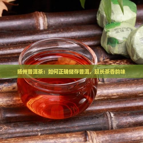 扬州普洱茶：如何正确储存普洱，延长茶香韵味