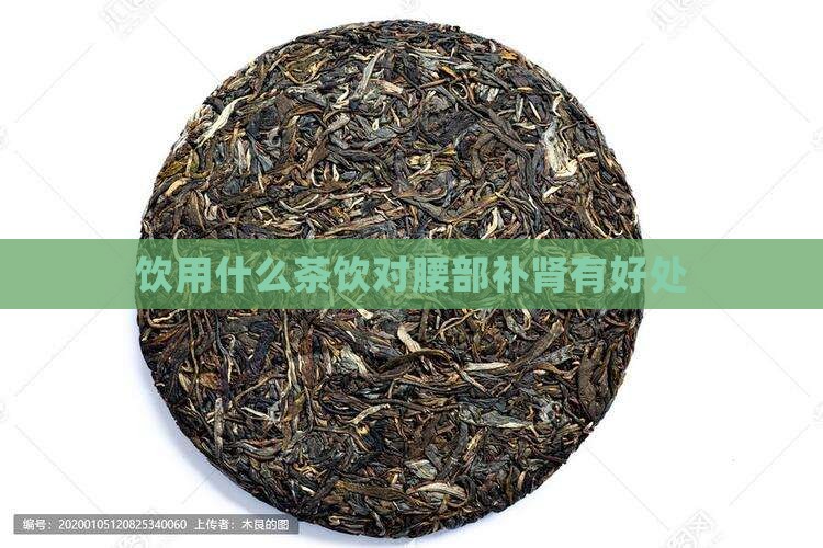 饮用什么茶饮对腰部补肾有好处