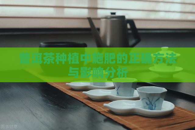 普洱茶种植中施肥的正确方法与影响分析