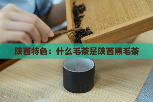 陕西特色：什么毛茶是陕西黑毛茶