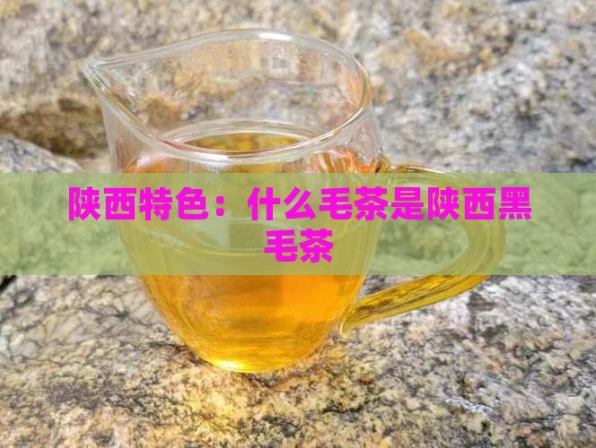 陕西特色：什么毛茶是陕西黑毛茶
