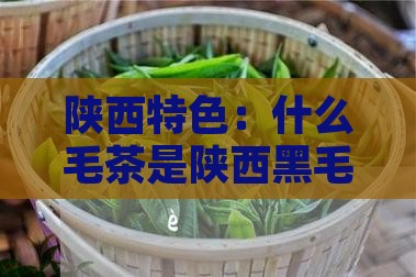 陕西特色：什么毛茶是陕西黑毛茶