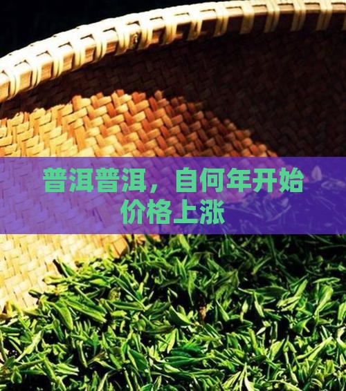普洱普洱，自何年开始价格上涨