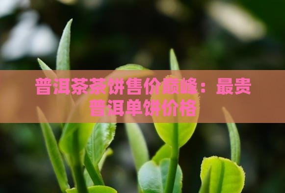 普洱茶茶饼售价巅峰：最贵普洱单饼价格