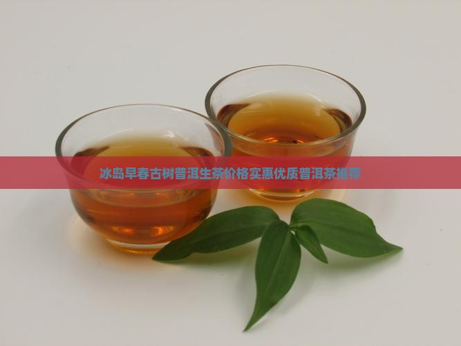 冰岛早春古树普洱生茶价格实惠优质普洱茶推荐