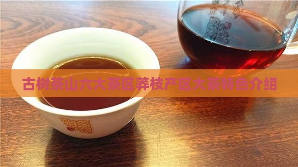 古树茶山六大茶区莽枝产区大茶特色介绍