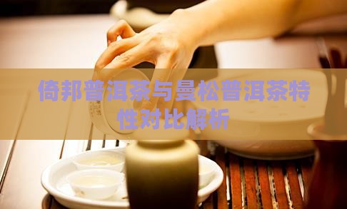 倚邦普洱茶与曼松普洱茶特性对比解析
