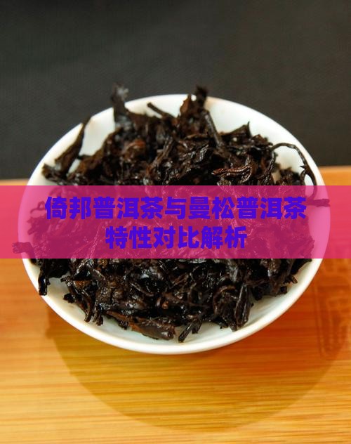 倚邦普洱茶与曼松普洱茶特性对比解析
