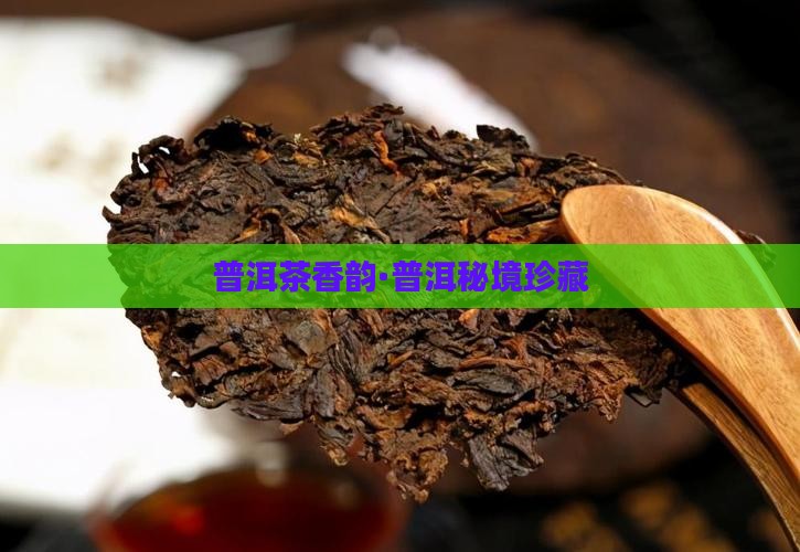 普洱茶香韵·普洱秘境珍藏