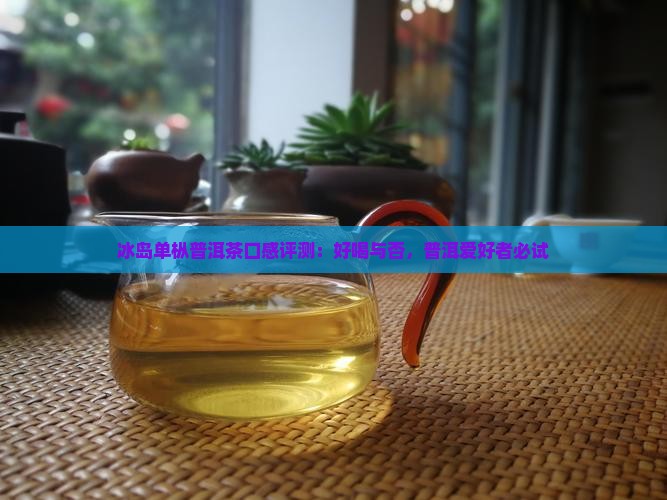 冰岛单枞普洱茶口感评测：好喝与否，普洱爱好者必试