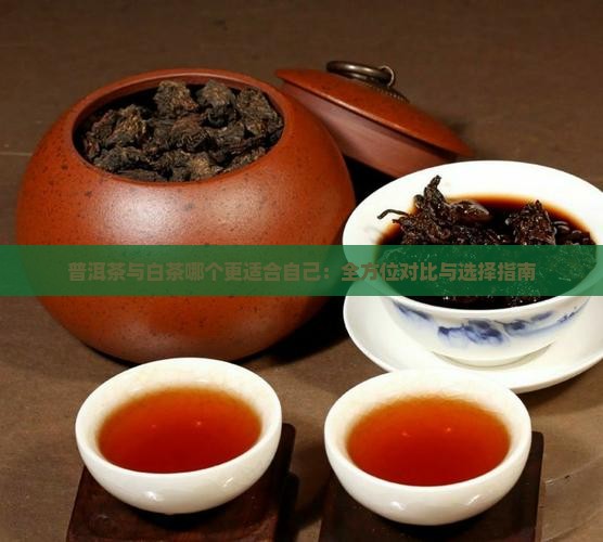 普洱茶与白茶哪个更适合自己：全方位对比与选择指南