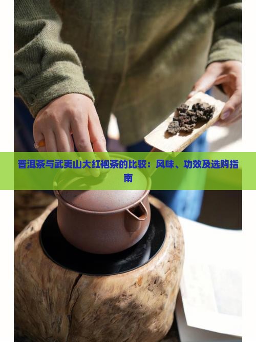 普洱茶与武夷山大红袍茶的比较：风味、功效及选购指南