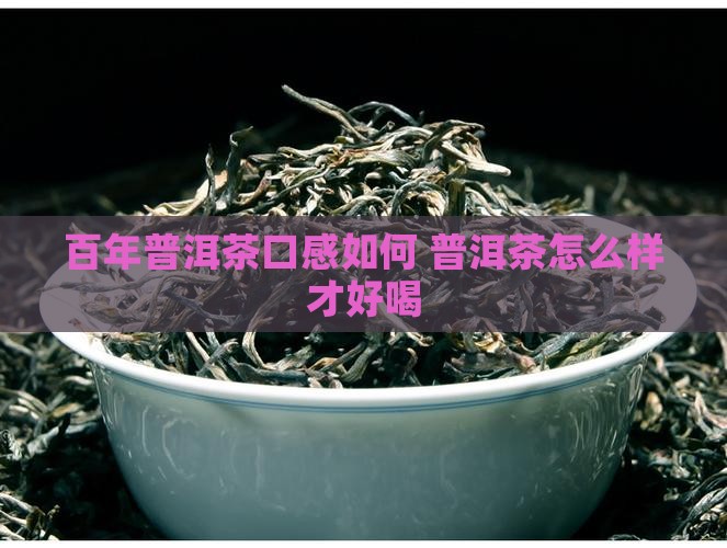 百年普洱茶口感如何 普洱茶怎么样才好喝