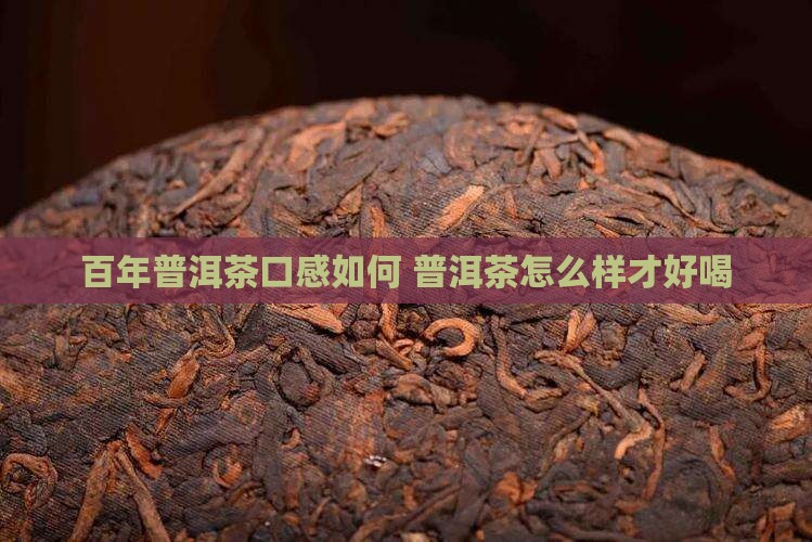 百年普洱茶口感如何 普洱茶怎么样才好喝