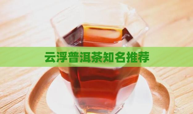 云浮普洱茶知名推荐