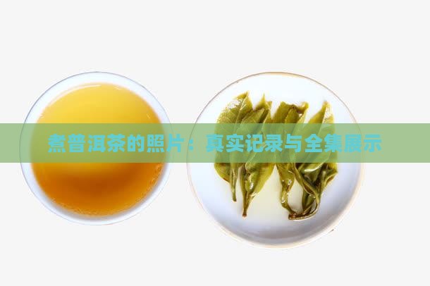 煮普洱茶的照片：真实记录与全集展示