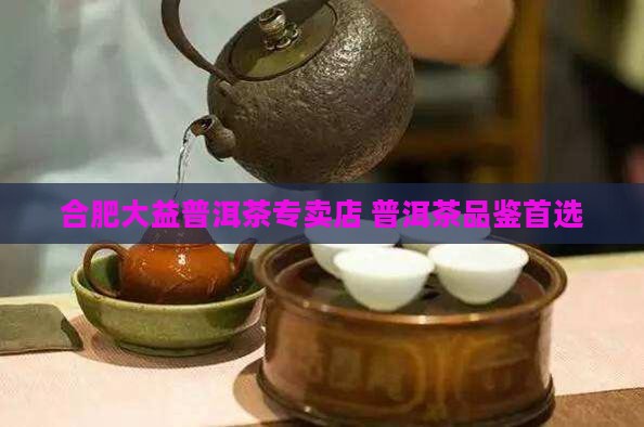 合肥大益普洱茶专卖店 普洱茶品鉴首选