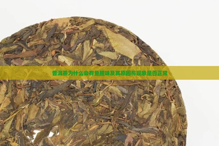 普洱茶为什么会有鱼腥味及其原因与现象是否正常