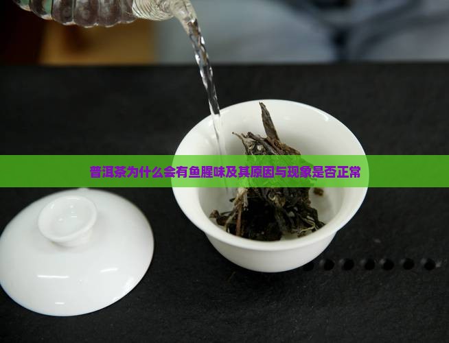 普洱茶为什么会有鱼腥味及其原因与现象是否正常