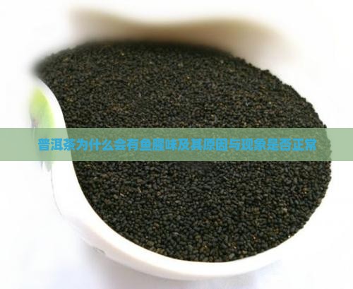 普洱茶为什么会有鱼腥味及其原因与现象是否正常