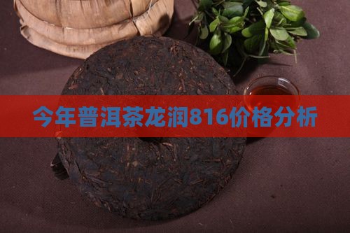 今年普洱茶龙润816价格分析