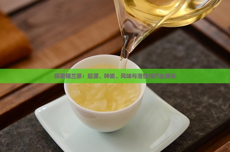 探索锡兰茶：起源、种类、风味与泡饮技巧全解析