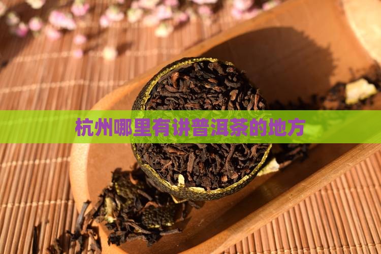 杭州哪里有讲普洱茶的地方