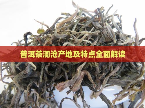 普洱茶澜沧产地及特点全面解读