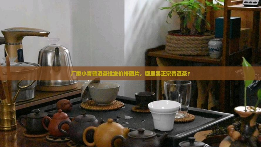 厂家小青普洱茶批发价格图片，哪里卖正宗普洱茶？