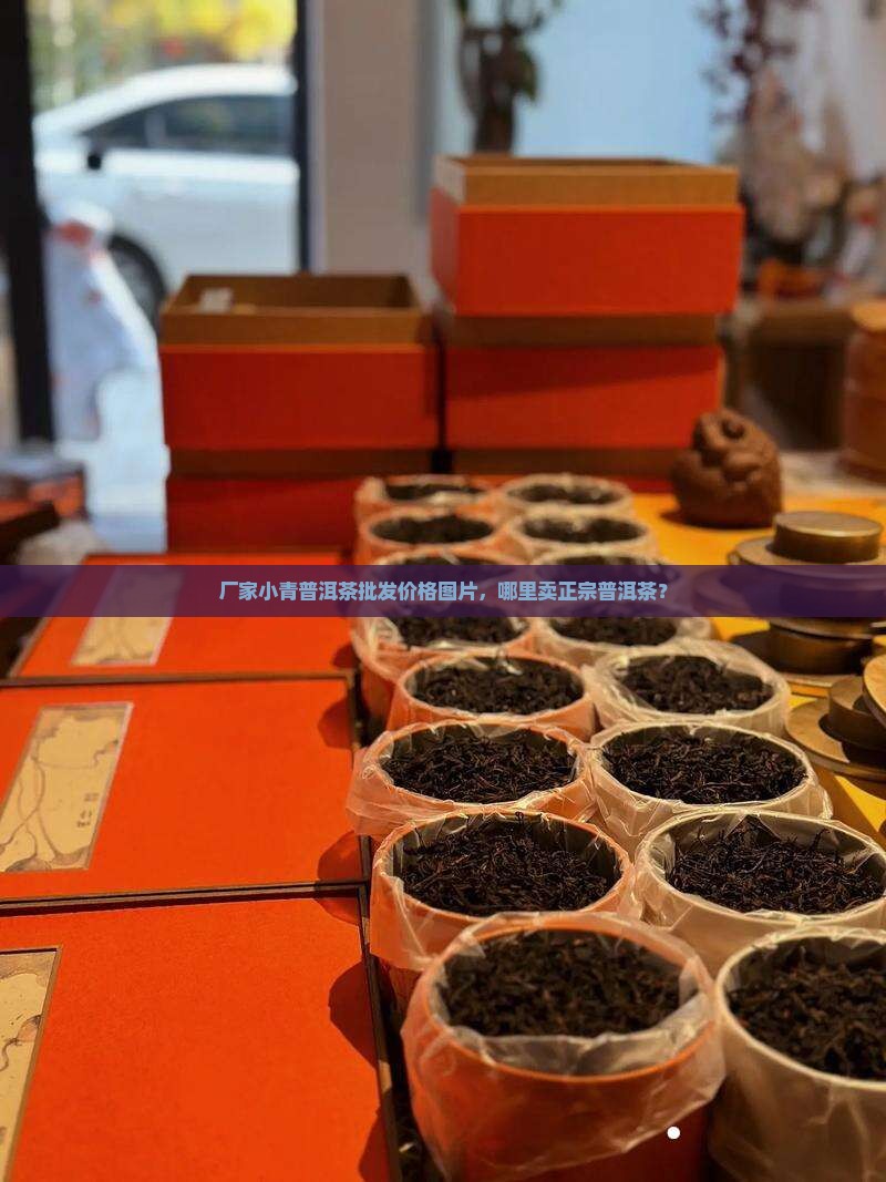 厂家小青普洱茶批发价格图片，哪里卖正宗普洱茶？