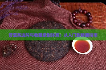 普洱茶选购与收藏级别详解：从入门到精通指南