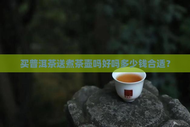 买普洱茶送煮茶壶吗好吗多少钱合适？