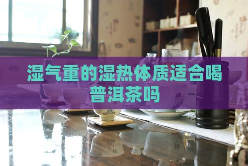 湿气重的湿热体质适合喝普洱茶吗