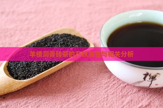 羊楼洞青砖茶的产权属性与相关分析