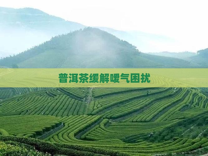 普洱茶缓解嗳气困扰