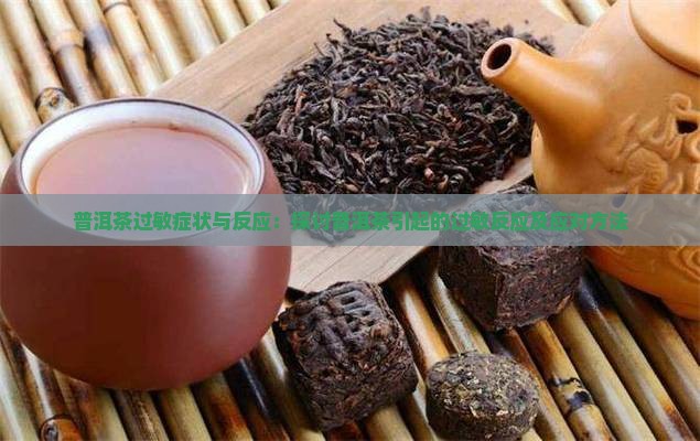 普洱茶过敏症状与反应：探讨普洱茶引起的过敏反应及应对方法