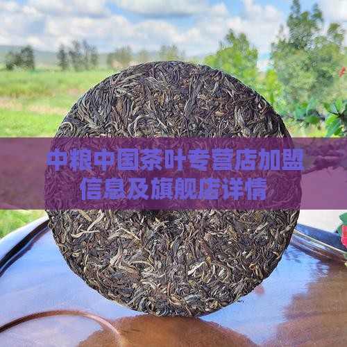 中粮中国茶叶专营店加盟信息及旗舰店详情