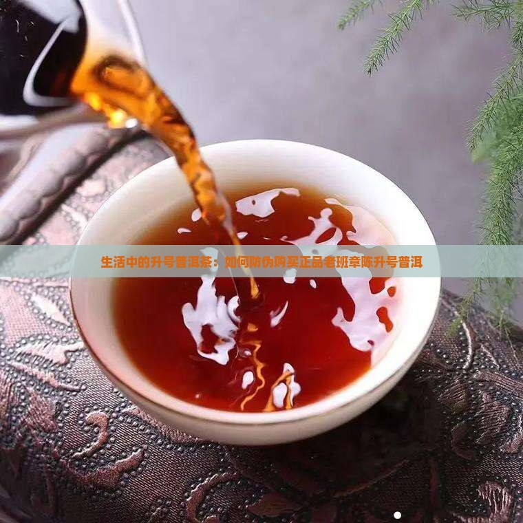 生活中的升号普洱茶：如何防伪购买正品老班章陈升号普洱