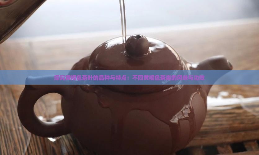 探究黄褐色茶叶的品种与特点：不同黄褐色茶类的风味与功效