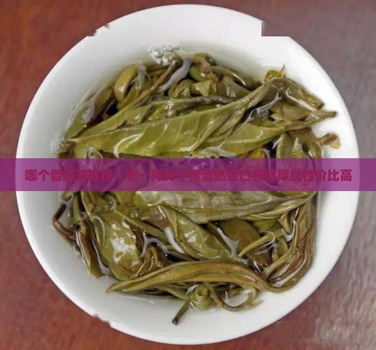 哪个普洱茶推荐：哪一种牌子普洱熟茶口感醇厚且性价比高