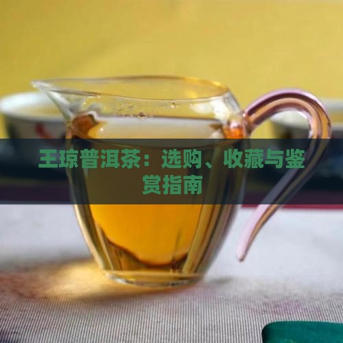 王琼普洱茶：选购、收藏与鉴赏指南