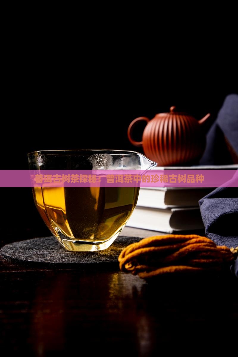 普洱古树茶探秘：普洱茶中的珍稀古树品种