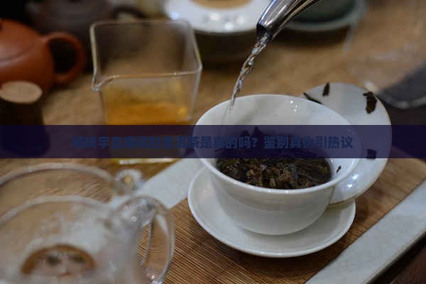 杨晓宇直播间的普洱茶是真的吗？鉴别真伪引热议