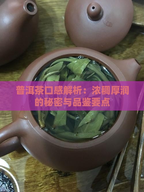 普洱茶口感解析：浓稠厚润的秘密与品鉴要点