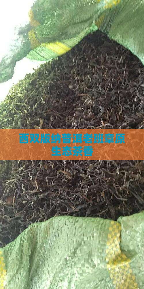 西双版纳普洱老班章原生态茶香