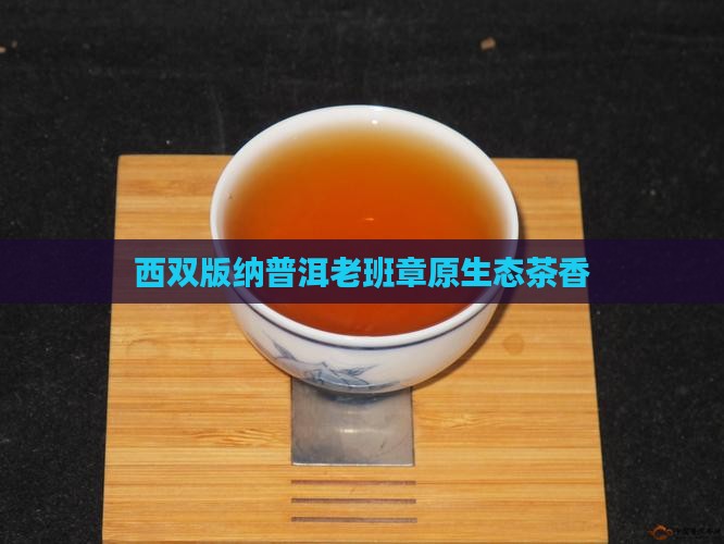 西双版纳普洱老班章原生态茶香
